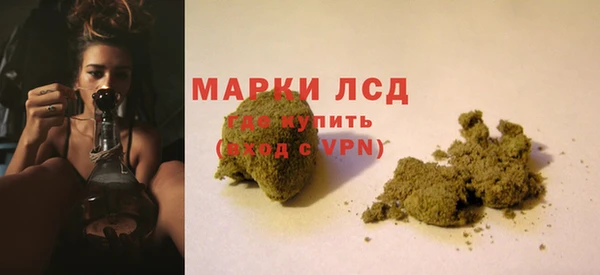 ПСИЛОЦИБИНОВЫЕ ГРИБЫ Вязники