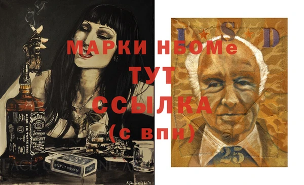 ПСИЛОЦИБИНОВЫЕ ГРИБЫ Вязники