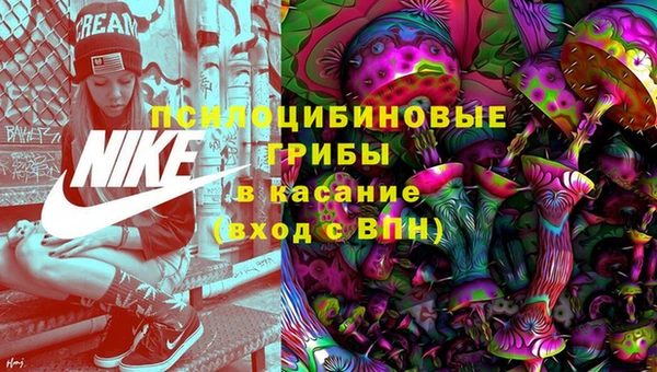 винт Вяземский
