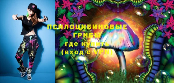 ПСИЛОЦИБИНОВЫЕ ГРИБЫ Вязники