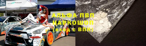 ПСИЛОЦИБИНОВЫЕ ГРИБЫ Вязники
