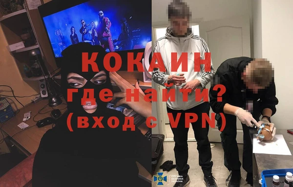 ПСИЛОЦИБИНОВЫЕ ГРИБЫ Вязники