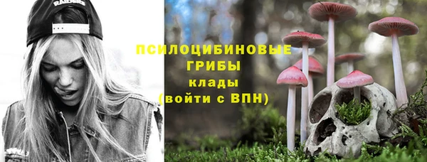 ПСИЛОЦИБИНОВЫЕ ГРИБЫ Вязники