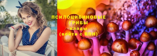 винт Вязьма