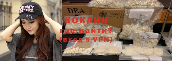 ПСИЛОЦИБИНОВЫЕ ГРИБЫ Вязники