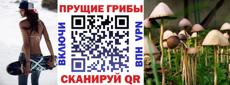 Галлюциногенные грибы ЛСД  как найти   Махачкала 